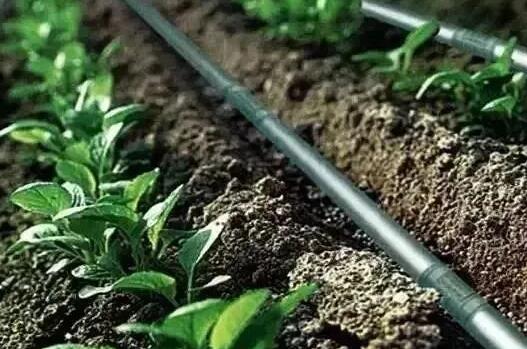 水肥一體化三種技術(shù)模式，實(shí)現(xiàn)節(jié)水節(jié)肥